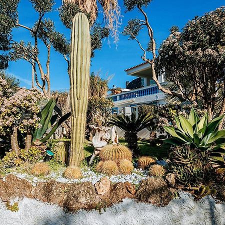 Appartamenti Ischia Casa Don Peppe Forio di Ischia 외부 사진