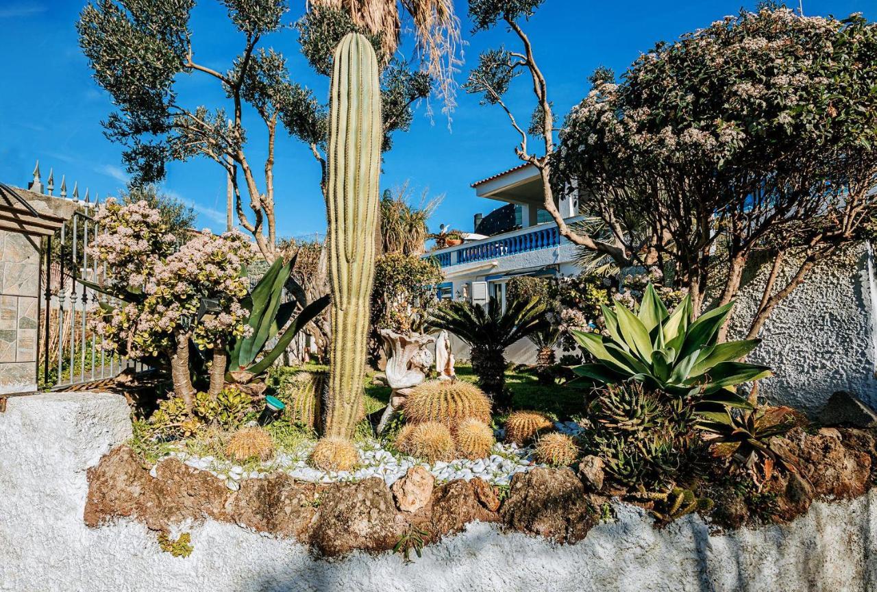 Appartamenti Ischia Casa Don Peppe Forio di Ischia 외부 사진