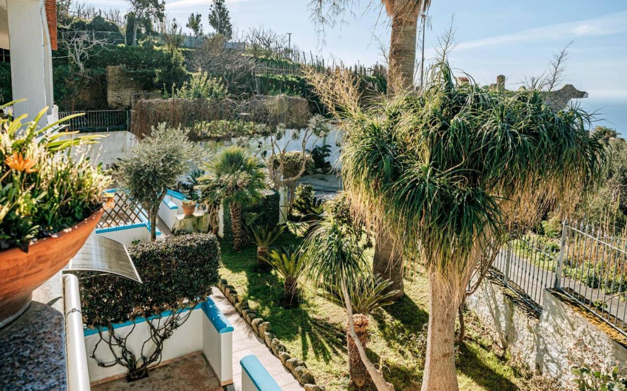 Appartamenti Ischia Casa Don Peppe Forio di Ischia 외부 사진