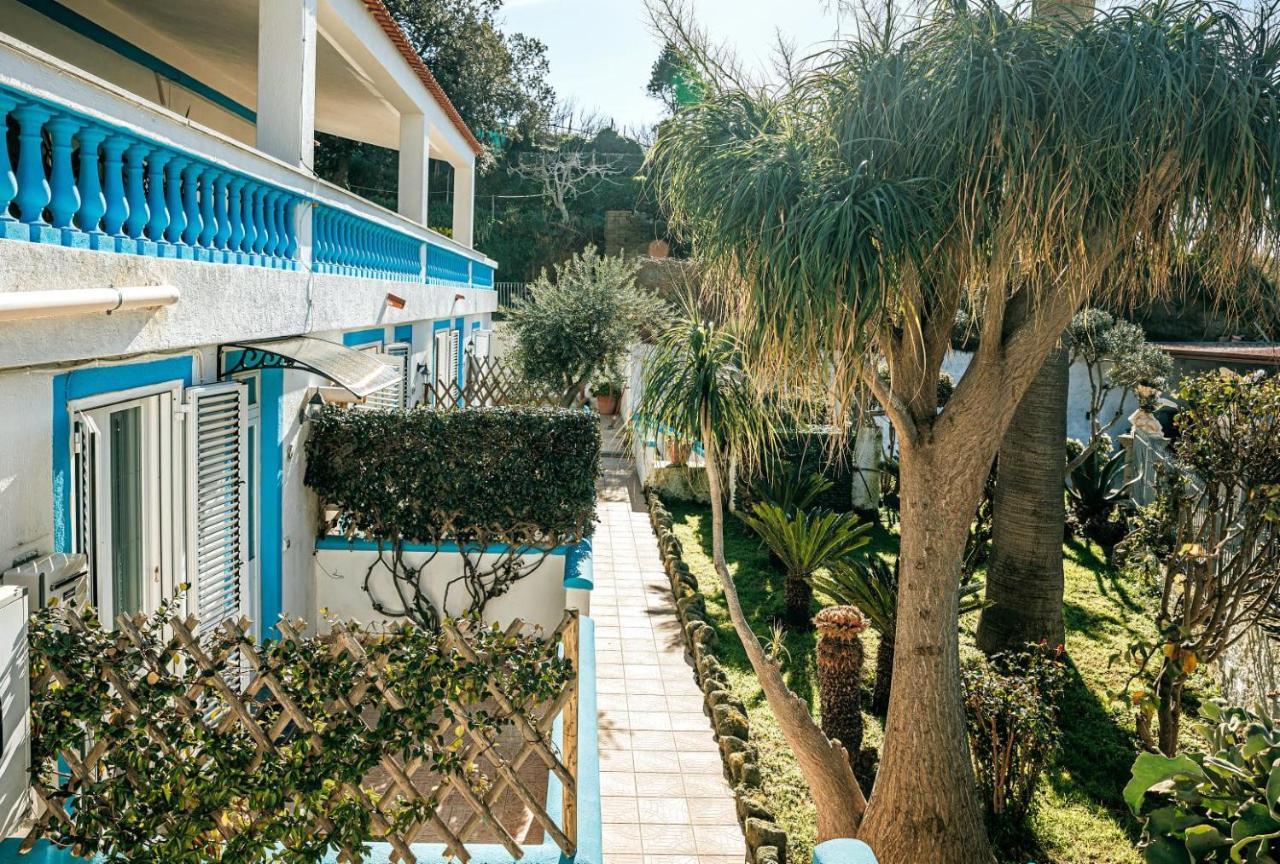 Appartamenti Ischia Casa Don Peppe Forio di Ischia 외부 사진
